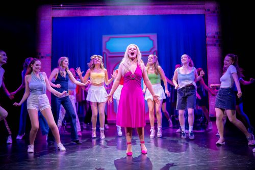 Pink Power at its best »Natürlich blond – Das Musical« im First Stage Theater Hamburg